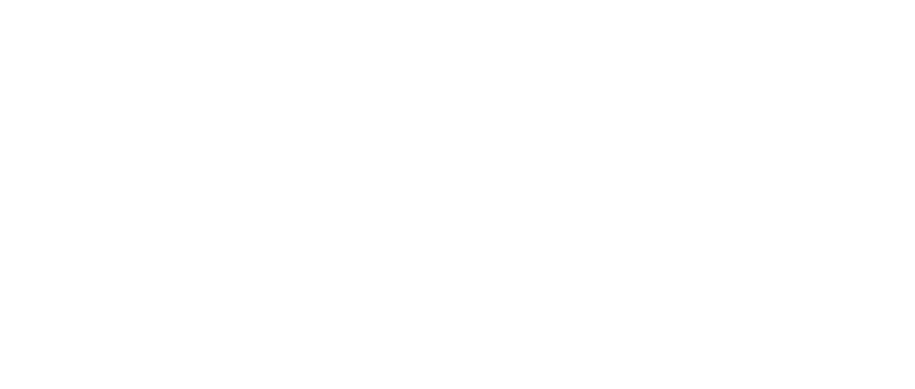 NOËL Parquet